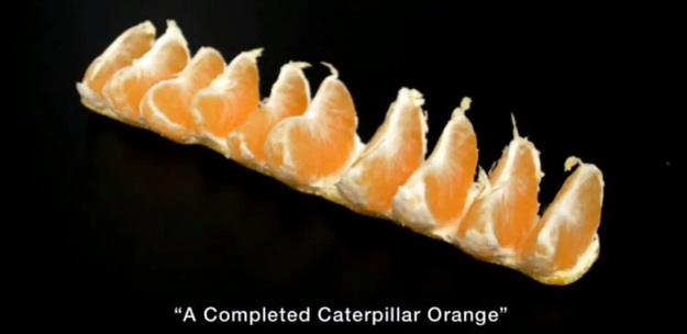 enhanced-buzz-7591-1374506067-16